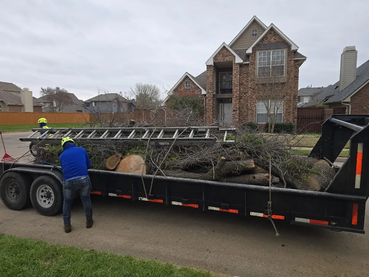 Expert Tree Pest Control with proper safety equipment in Cedartown